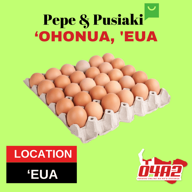 Tray of Eggs 30 (Fiji) - "PICK UP FROM PEPE & PUSIAKI, 'OHONUA, 'EUA"
