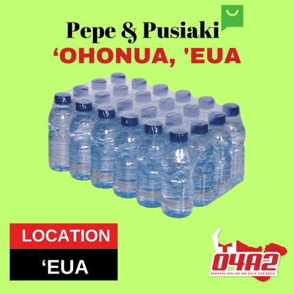 Tray Vai - "PICK UP FROM PEPE & PUSIAKI, 'OHONUA, 'EUA"