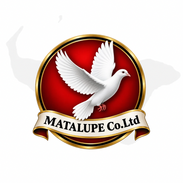 MATALUPE COMPANY LTD