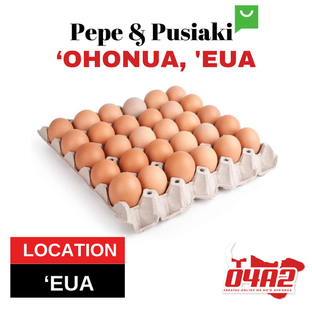 Tray of Eggs 30 (Fiji) - "PICK UP FROM PEPE & PUSIAKI, 'OHONUA, 'EUA"