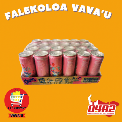 Cheers Drink Carton - “PICK UP FROM Z & F COMPANY LTD, VAVA’U”
